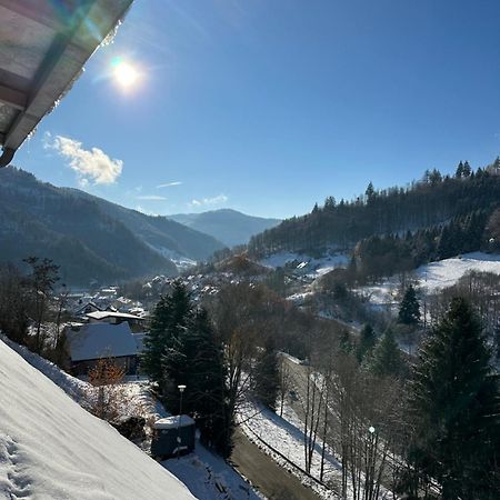 Bollenlodge - Ferienwohnung Mit Ausblick Und Top Lage Todtnau Exteriör bild