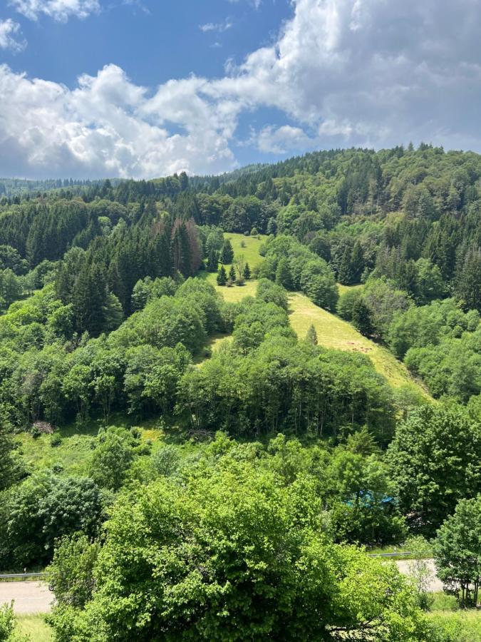 Bollenlodge - Ferienwohnung Mit Ausblick Und Top Lage Todtnau Exteriör bild